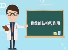【醫(yī)療科普】：你知道骨盆在人體中有什么作用嗎？